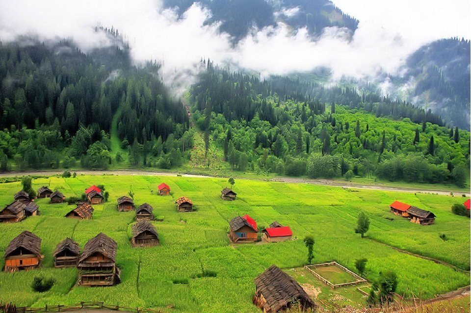 Arang Kel